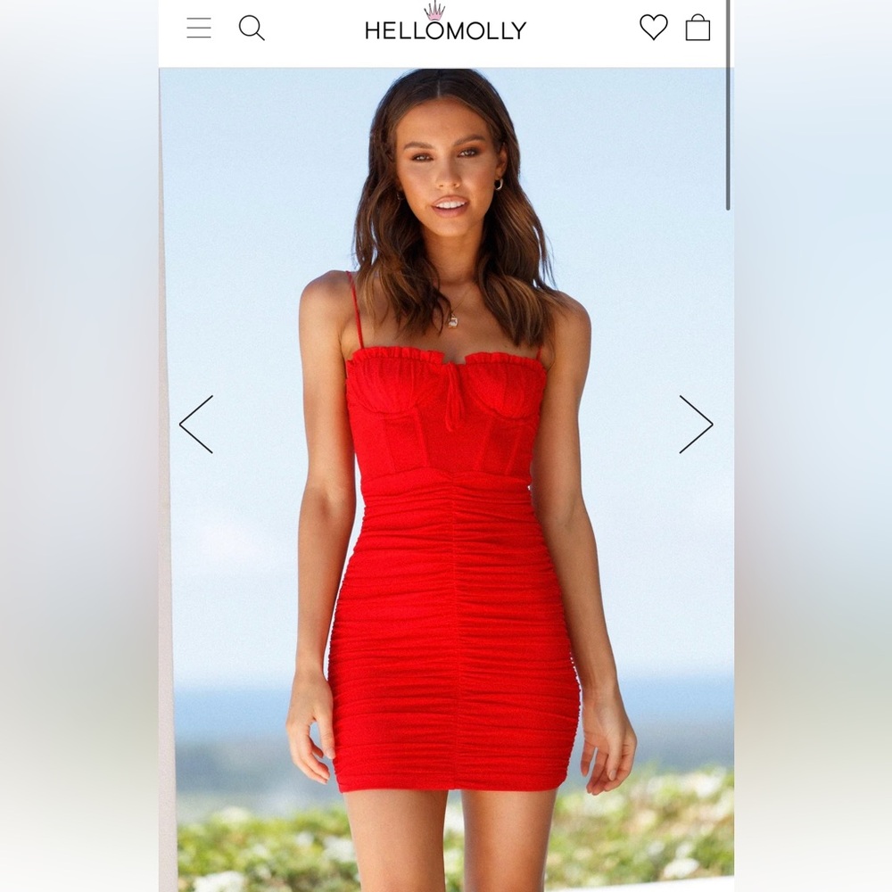Red mesh Hello Molly mini dress